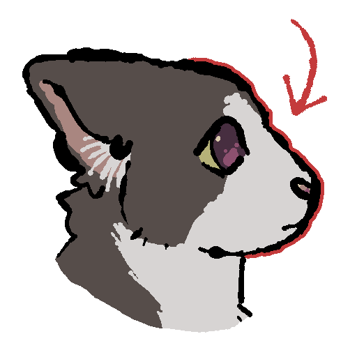 a grey and white cat's head, with a red outline on his face and a red arrow pointing to the outline.